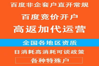 某信息流广告公司——策略与效果的完美结合